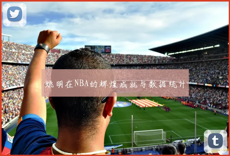 姚明在NBA的辉煌成就与数据统计